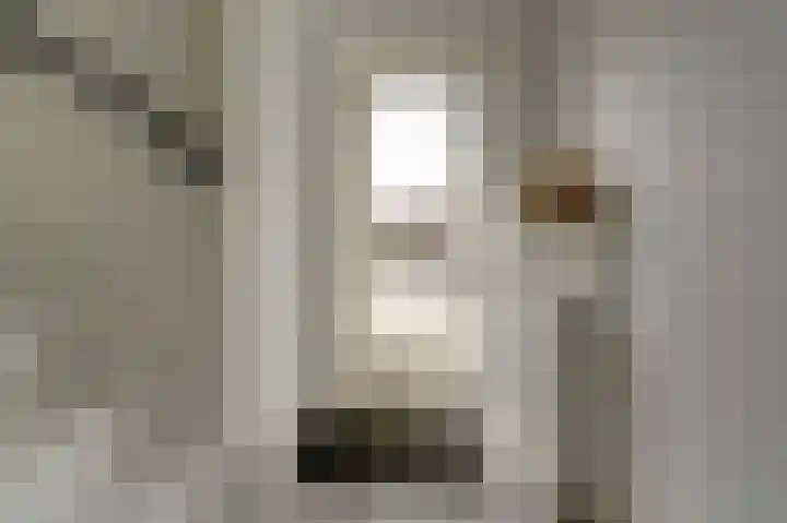 Goudreinet 10 Elst thumbnail 4