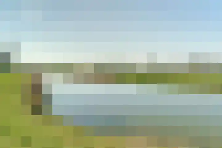 Goudreinet 10 Elst thumbnail 40