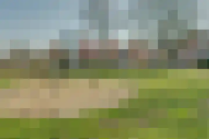 Goudreinet 10 Elst thumbnail 41