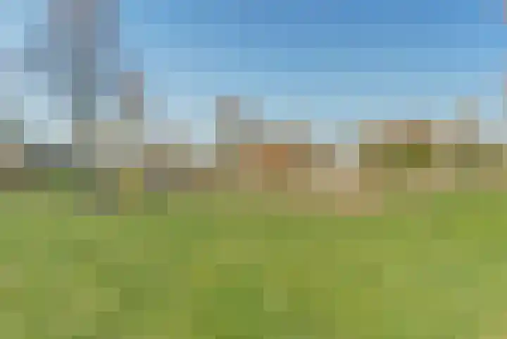Goudreinet 10 Elst thumbnail 42