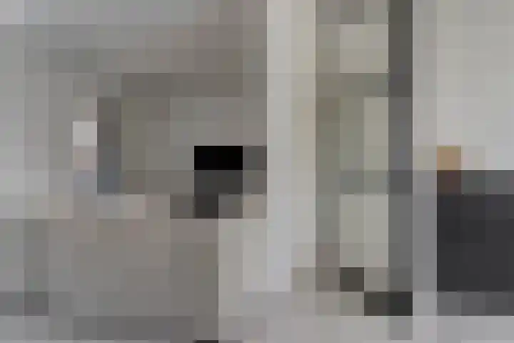 Goudreinet 10 Elst thumbnail 5