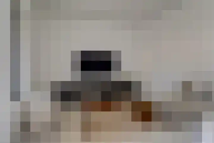 Goudreinet 10 Elst thumbnail 8
