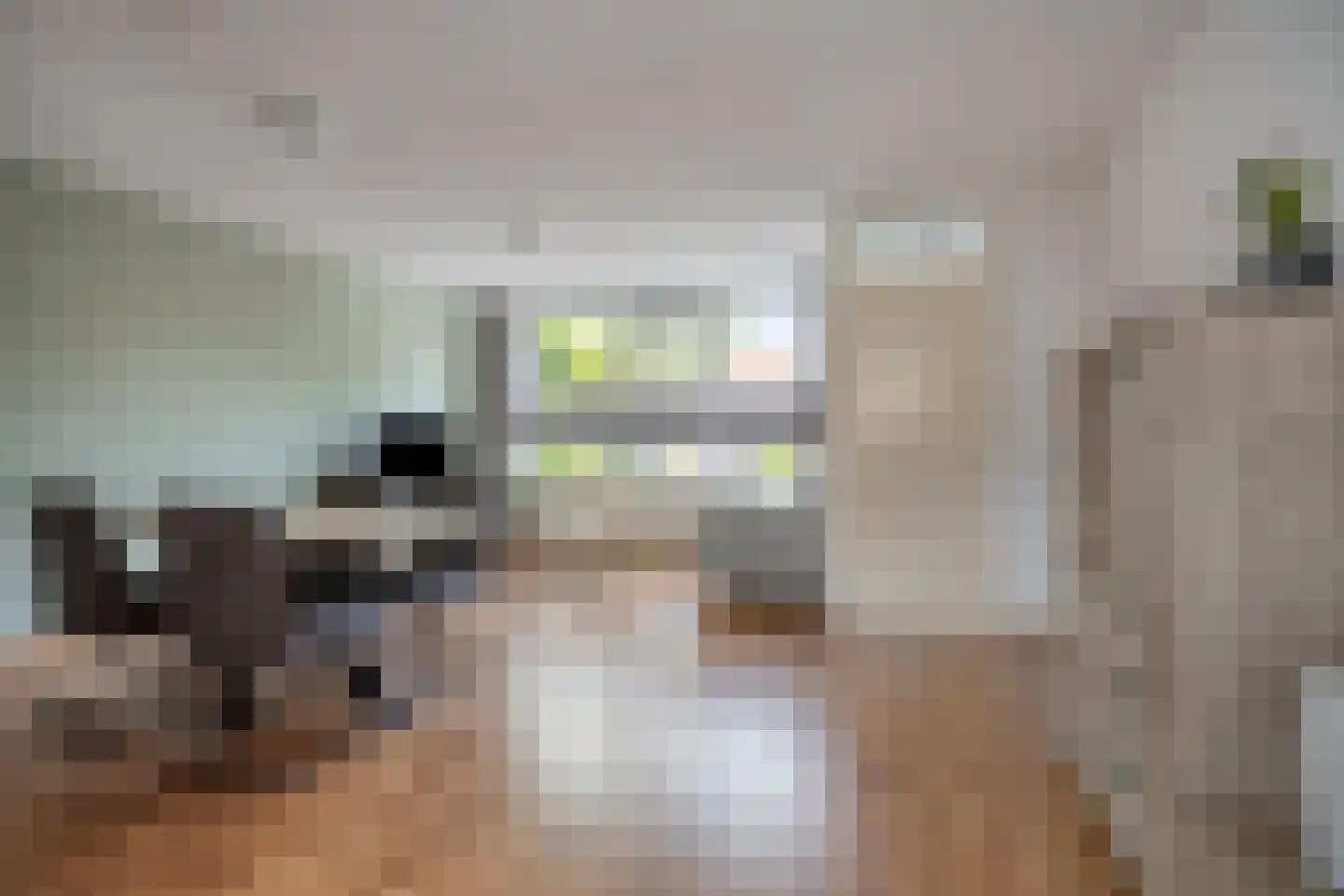 Goudreinet 14 Elst thumbnail 12