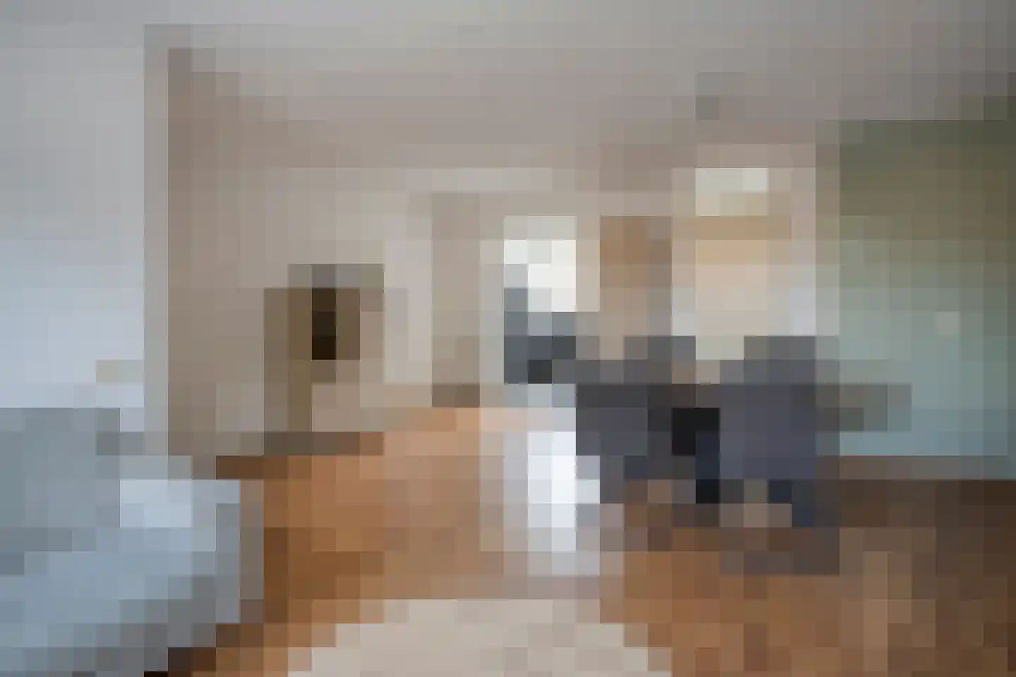 Goudreinet 14 Elst thumbnail 14