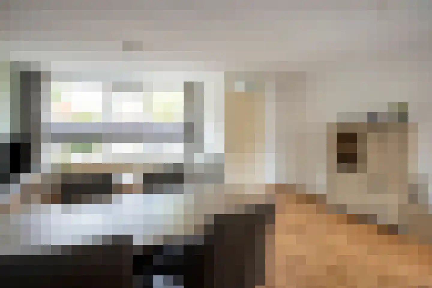 Goudreinet 14 Elst thumbnail 16