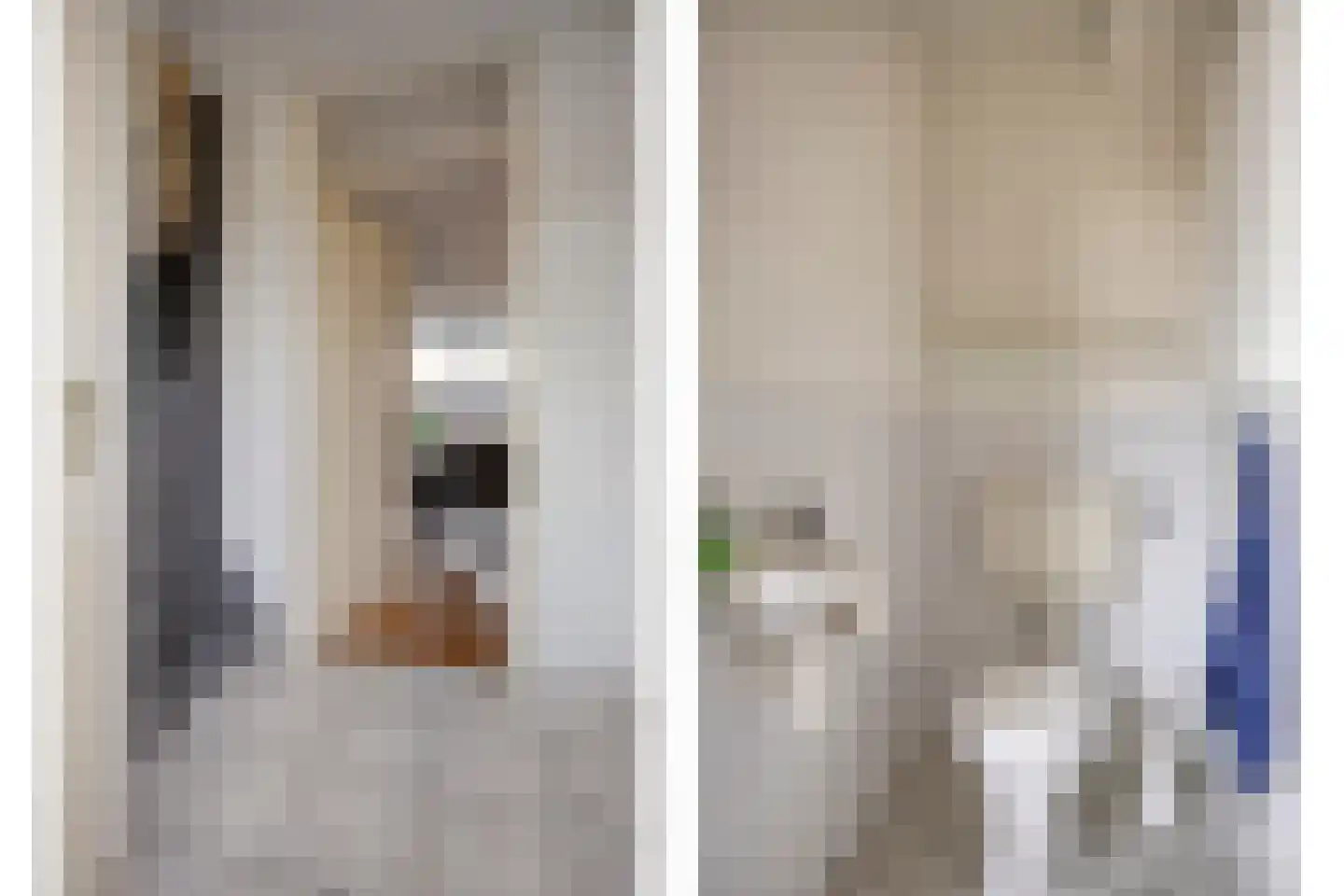 Goudreinet 14 Elst thumbnail 21
