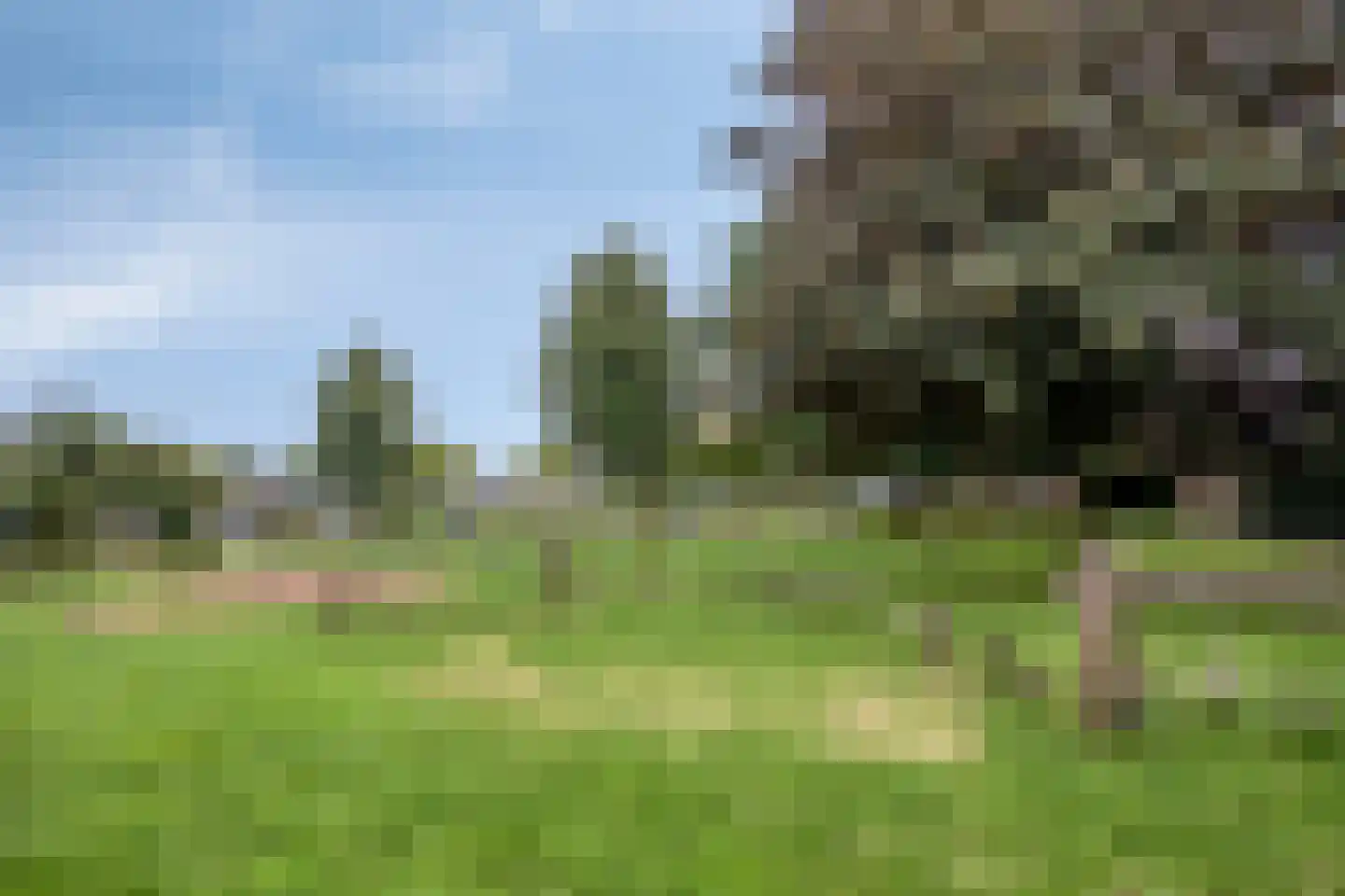 Goudreinet 14 Elst thumbnail 32