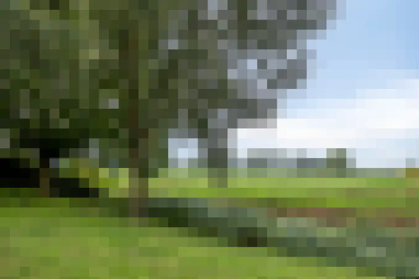 Goudreinet 14 Elst thumbnail 33