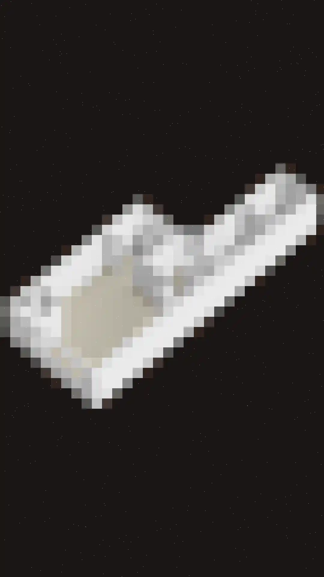 Goudreinet 14 Elst thumbnail 35