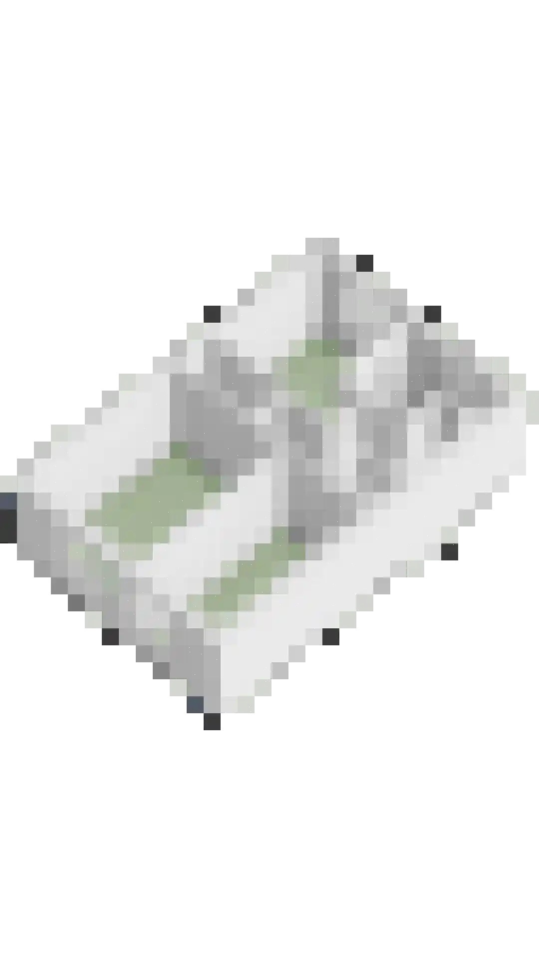 Goudreinet 14 Elst thumbnail 37