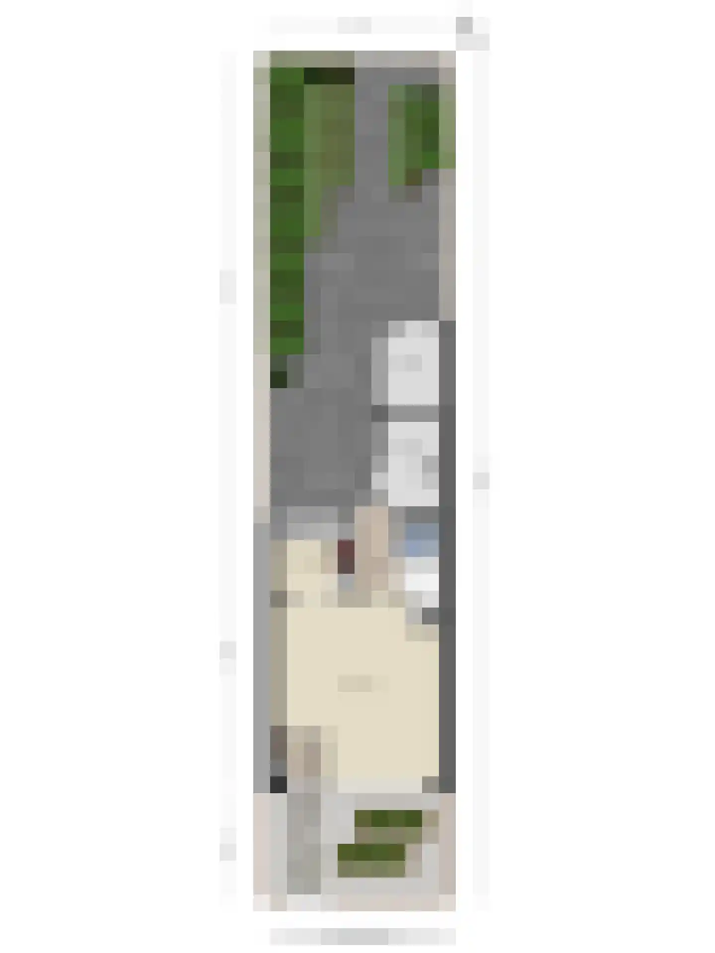 Goudreinet 14 Elst thumbnail 38
