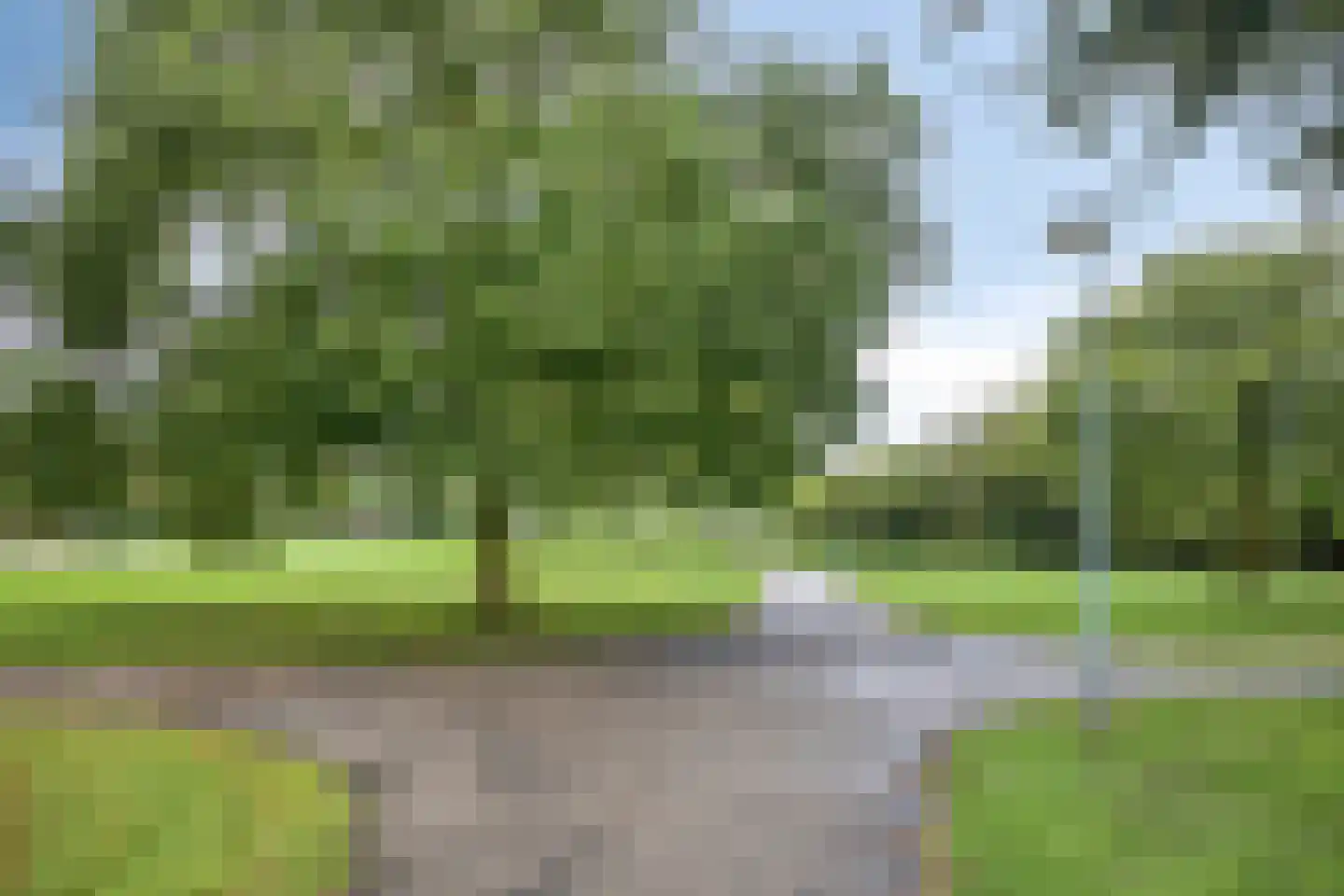 Goudreinet 14 Elst thumbnail 6