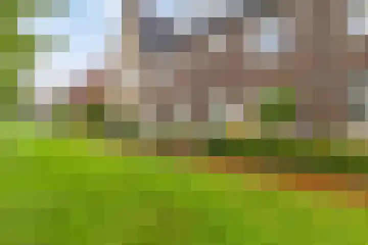 Goudreinet 16 Nijkerk
