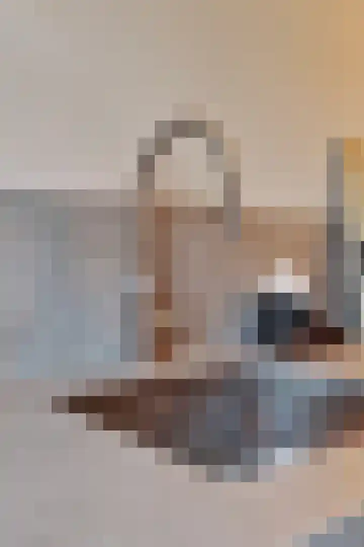Goudreinet 16 Nijkerk thumbnail 10