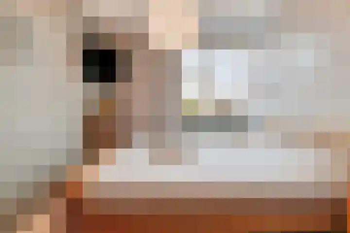 Goudreinet 16 Nijkerk thumbnail 16