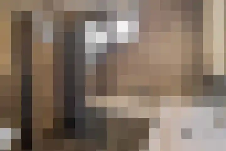 Goudreinet 16 Nijkerk thumbnail 22