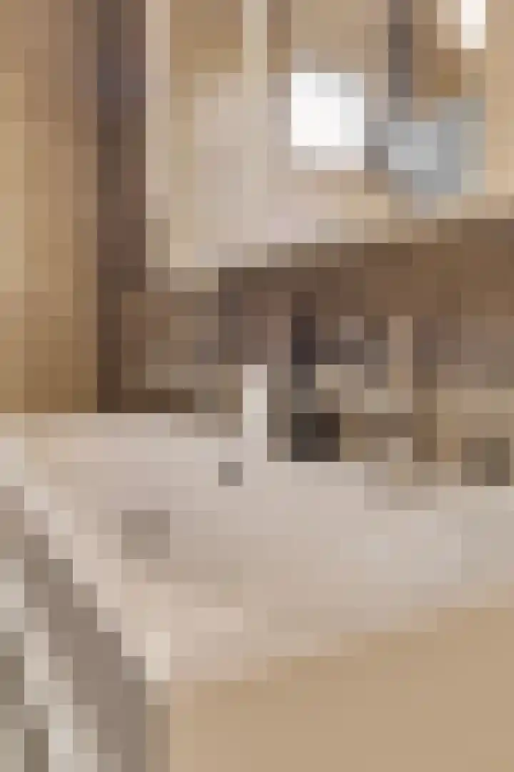 Goudreinet 16 Nijkerk thumbnail 24
