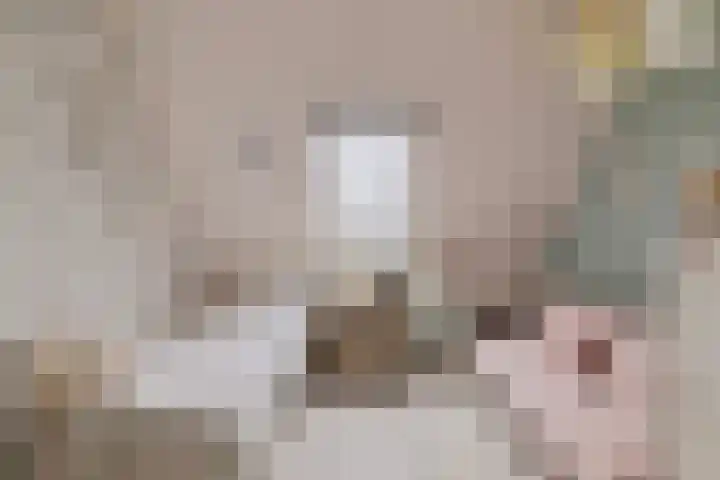 Goudreinet 16 Nijkerk thumbnail 25