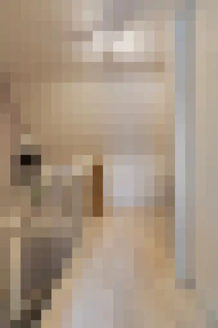 Goudreinet 16 Nijkerk thumbnail 27