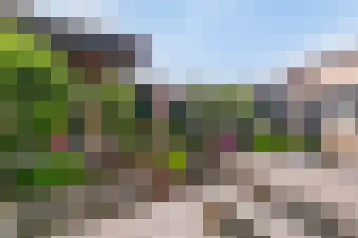 Goudreinet 16 Nijkerk thumbnail 32
