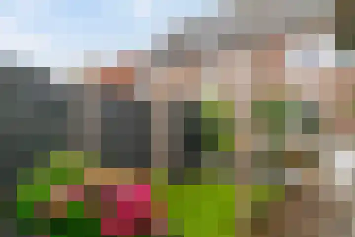 Goudreinet 16 Nijkerk thumbnail 34