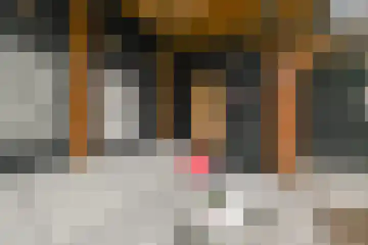Goudreinet 16 Nijkerk thumbnail 37