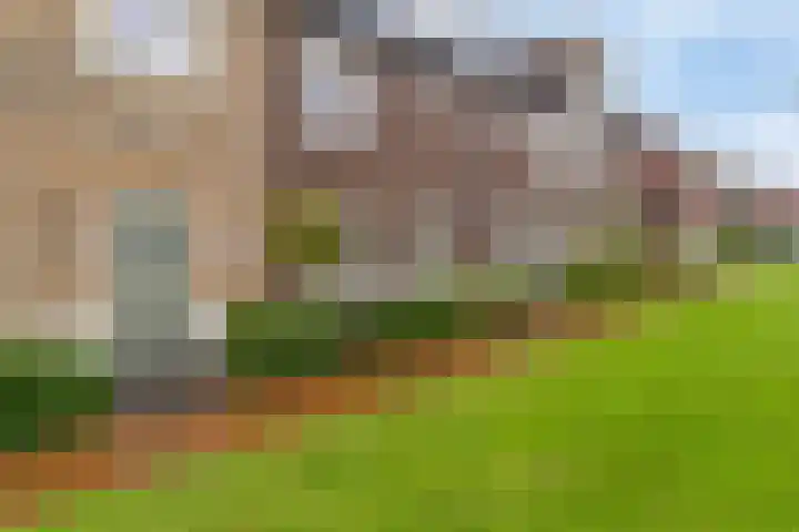 Goudreinet 16 Nijkerk thumbnail 39