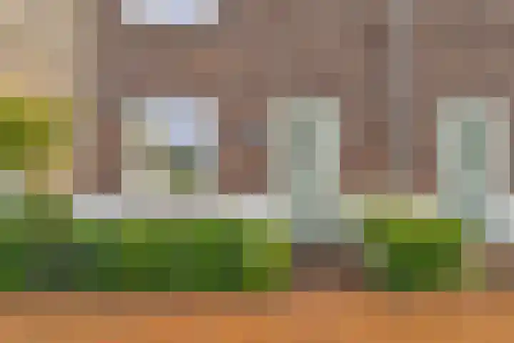 Goudreinet 16 Nijkerk thumbnail 40
