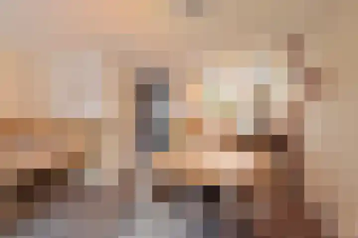 Goudreinet 16 Nijkerk thumbnail 7