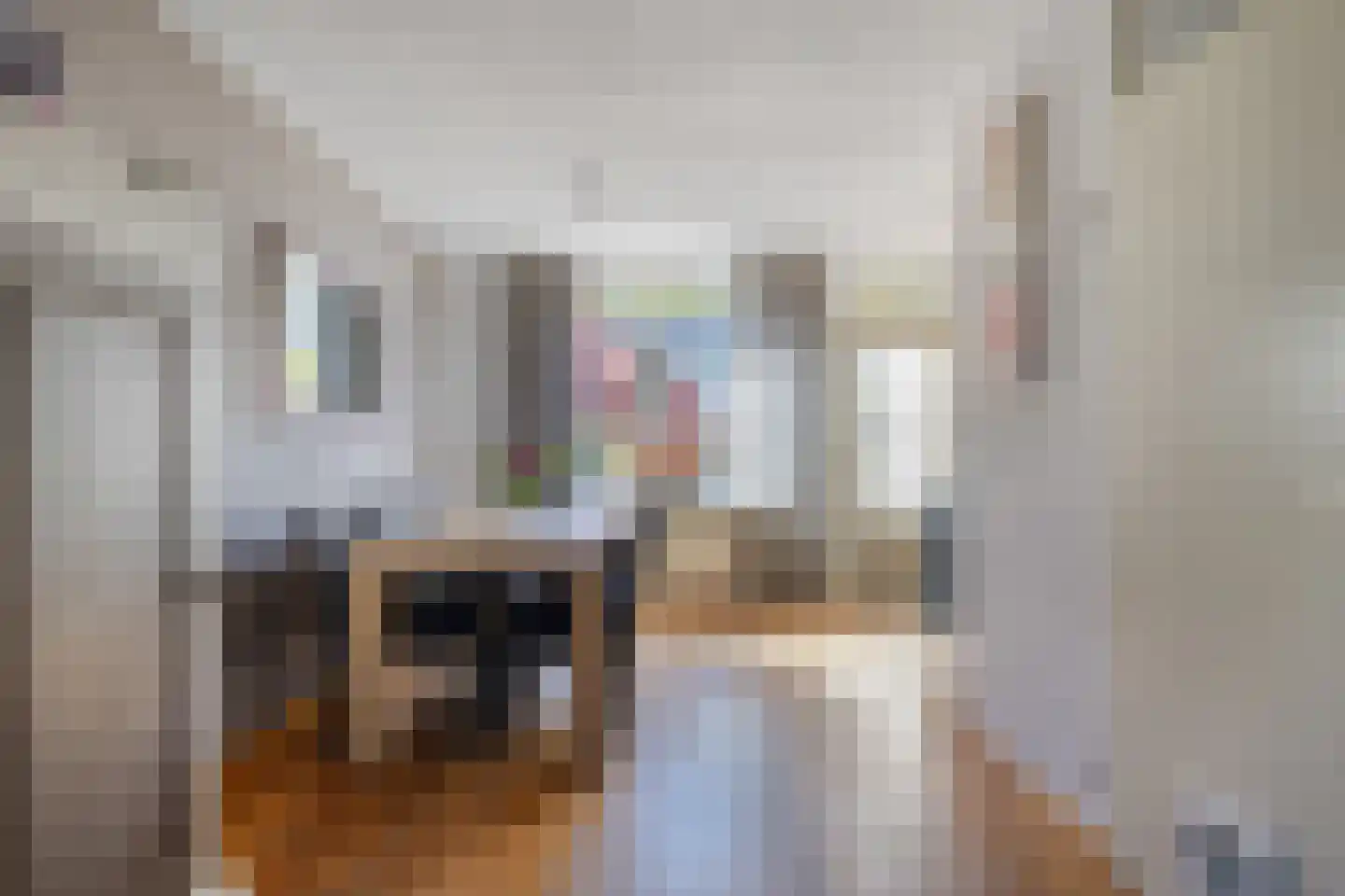 Goudreinet 17 Dodewaard thumbnail 11