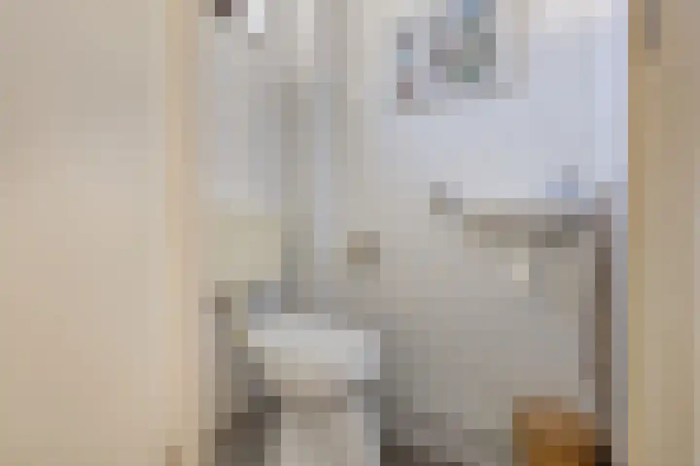 Goudreinet 17 Dodewaard thumbnail 16