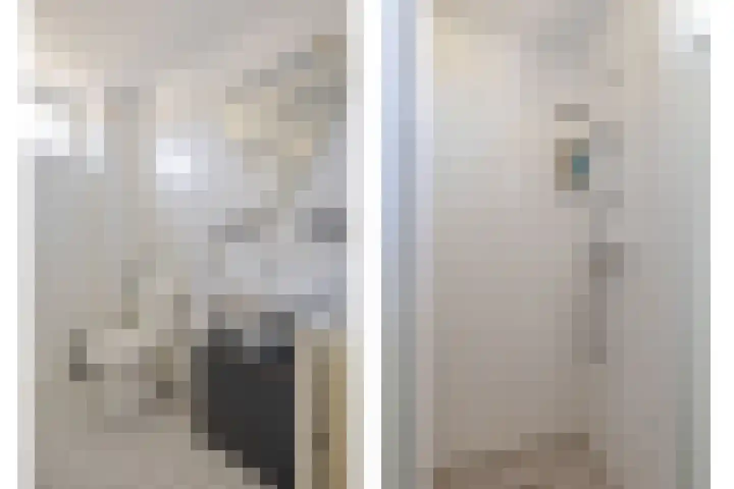 Goudreinet 17 Dodewaard thumbnail 23