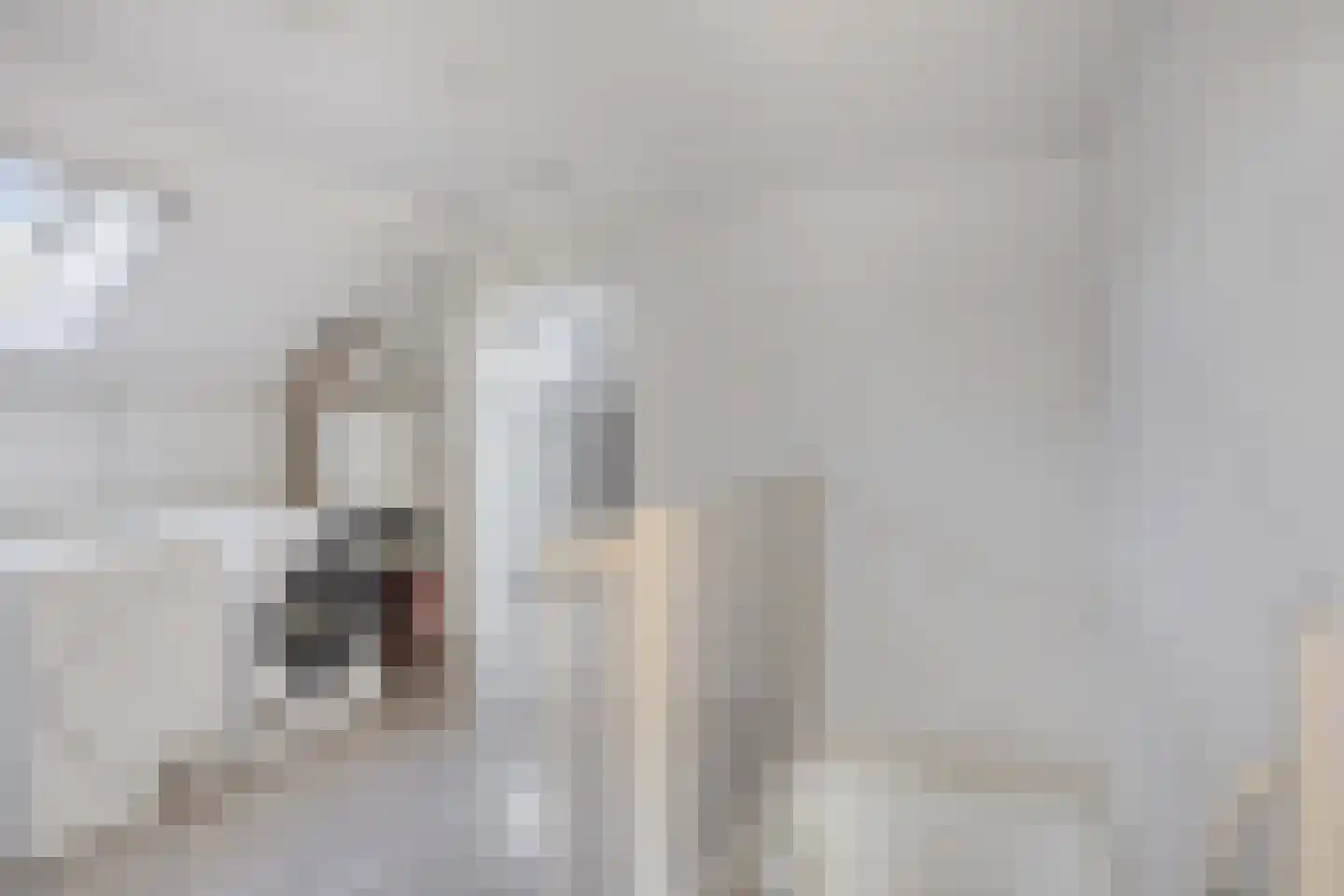 Goudreinet 17 Dodewaard thumbnail 28