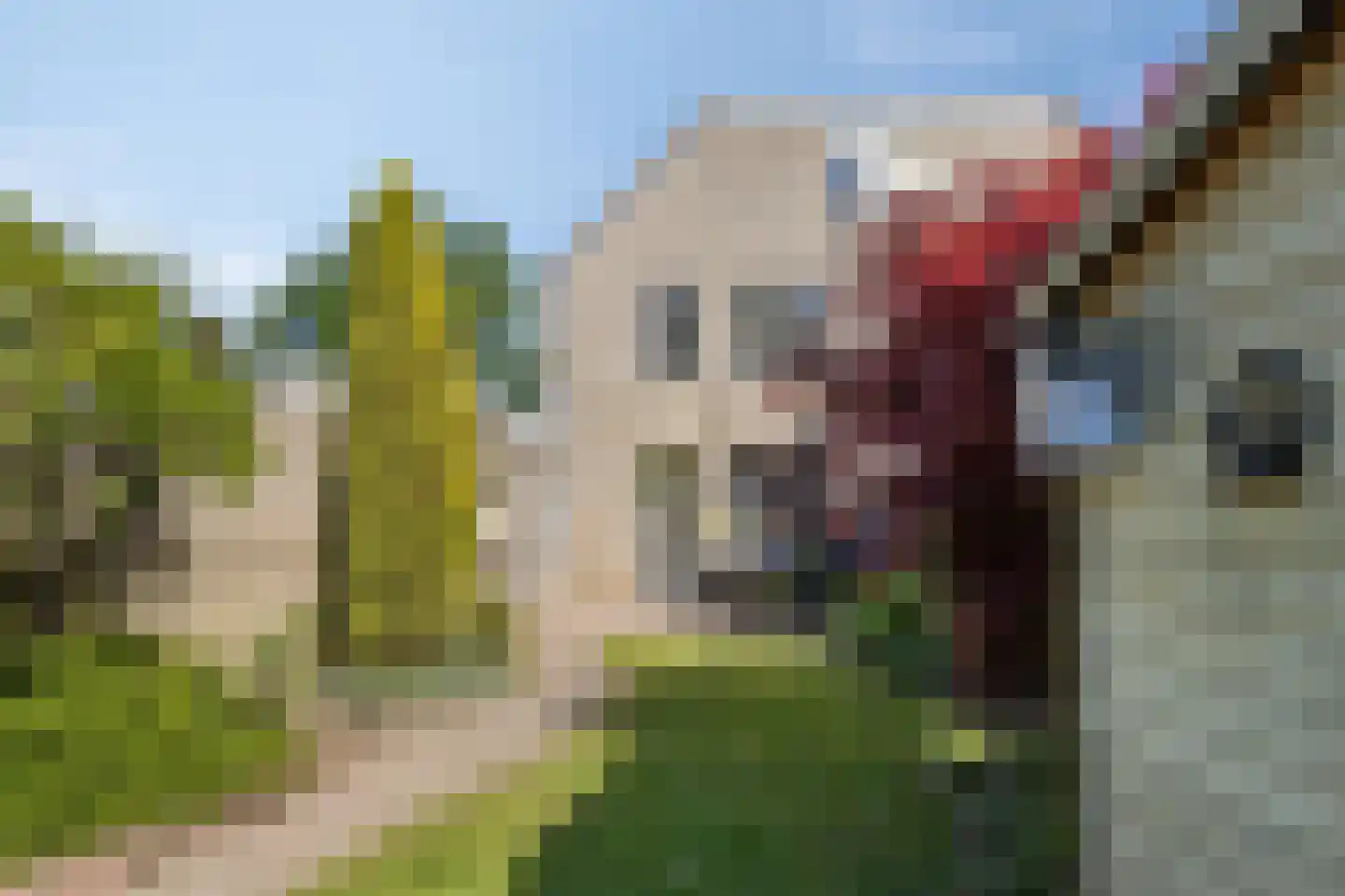 Goudreinet 17 Dodewaard thumbnail 37