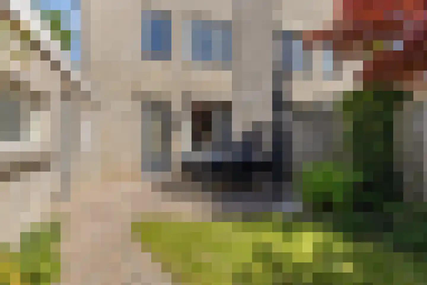 Goudreinet 17 Dodewaard thumbnail 38