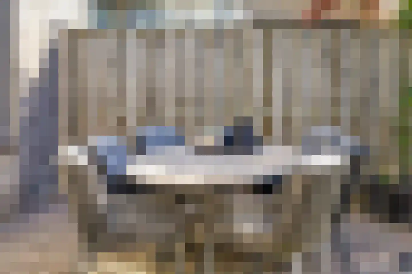 Goudreinet 17 Dodewaard thumbnail 39