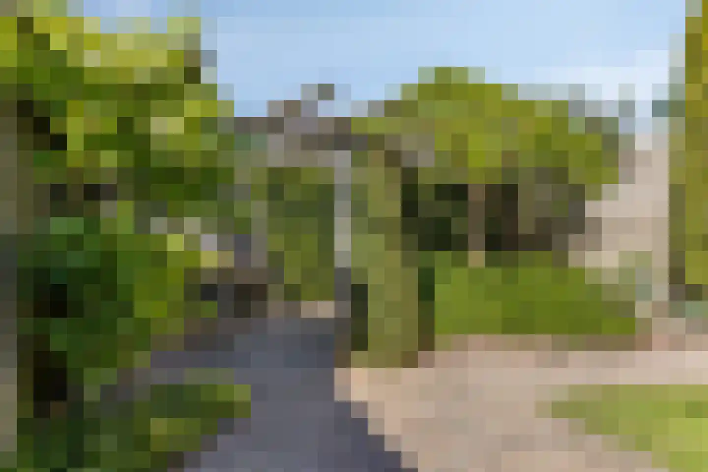 Goudreinet 17 Dodewaard thumbnail 41