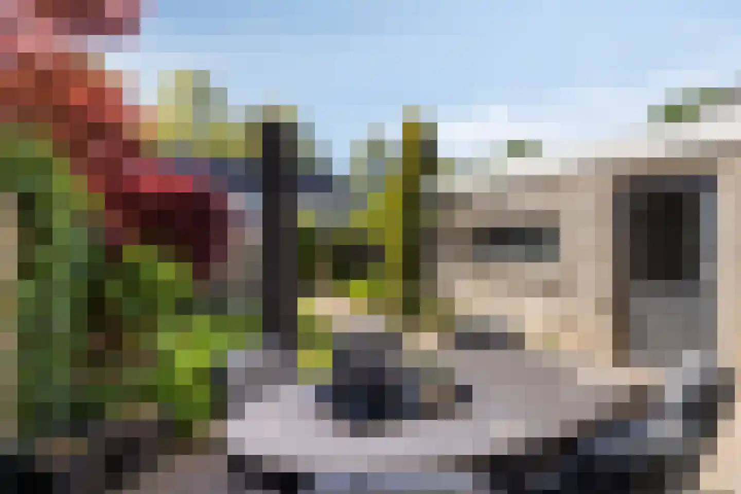 Goudreinet 17 Dodewaard thumbnail 43