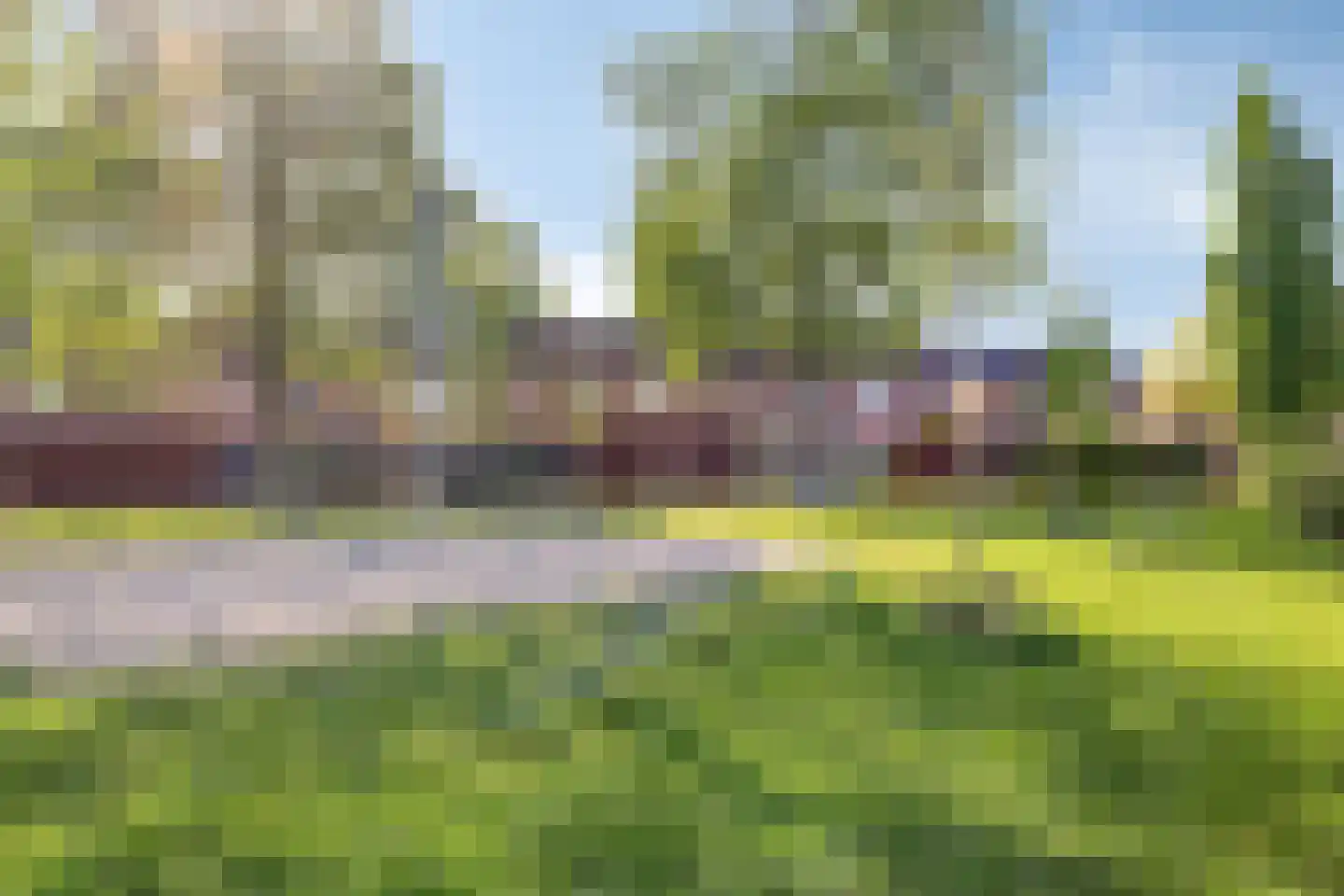 Goudreinet 17 Dodewaard thumbnail 47