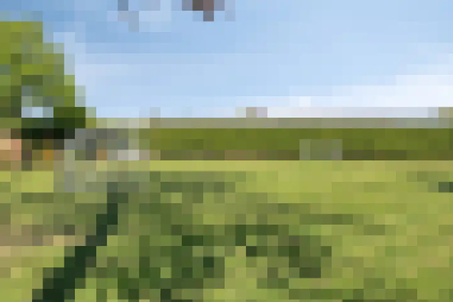 Goudreinet 17 Dodewaard thumbnail 48