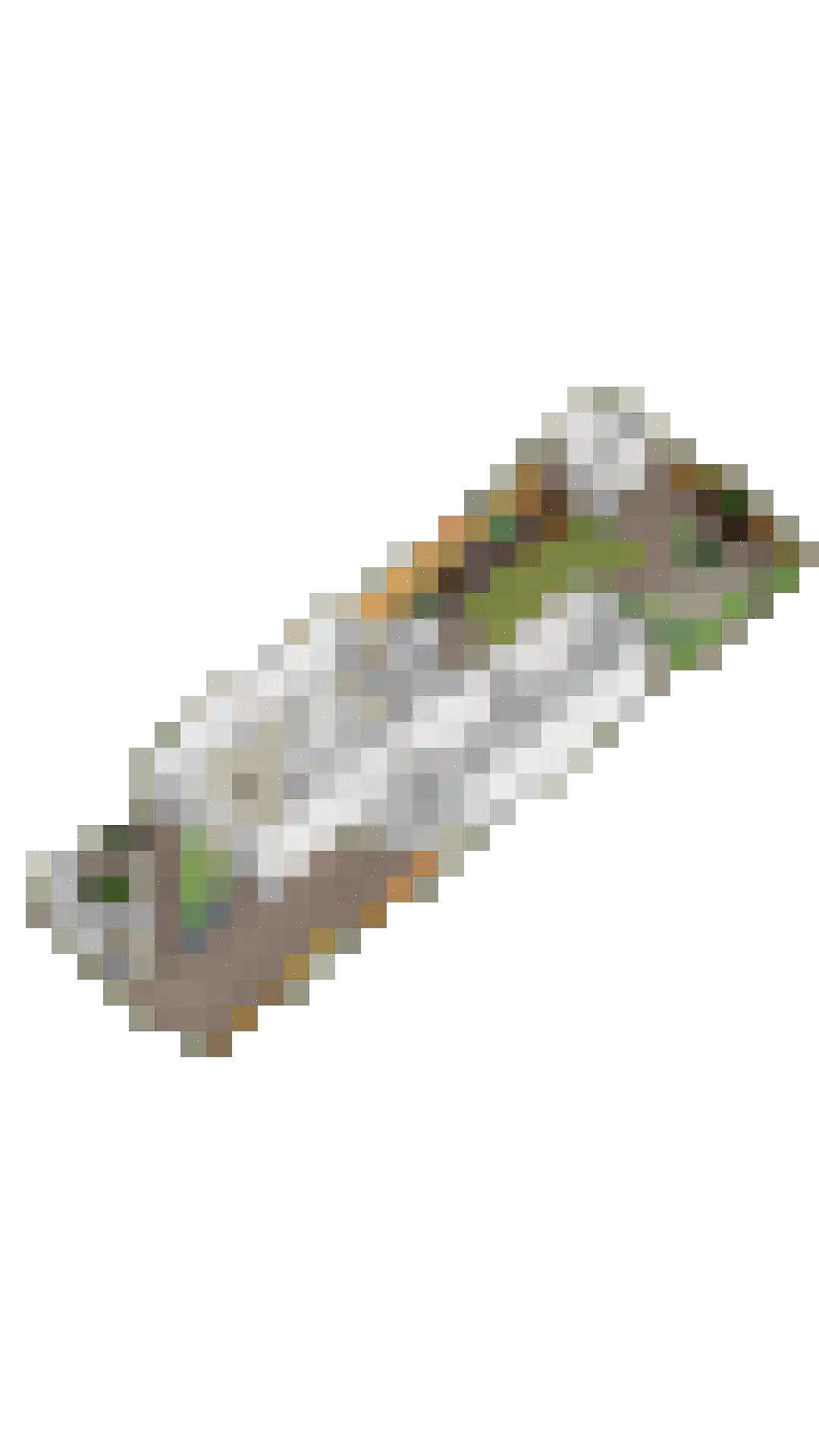 Goudreinet 17 Dodewaard thumbnail 50