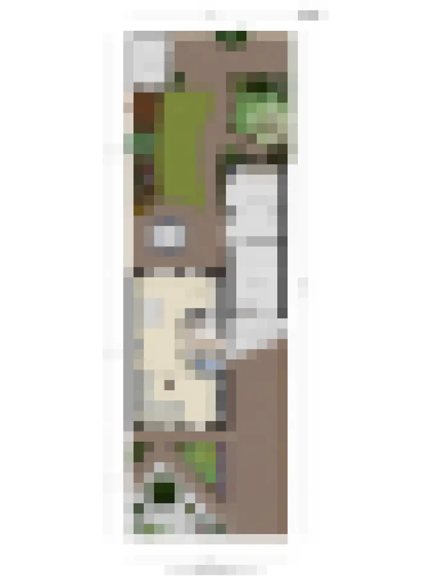 Goudreinet 17 Dodewaard thumbnail 51