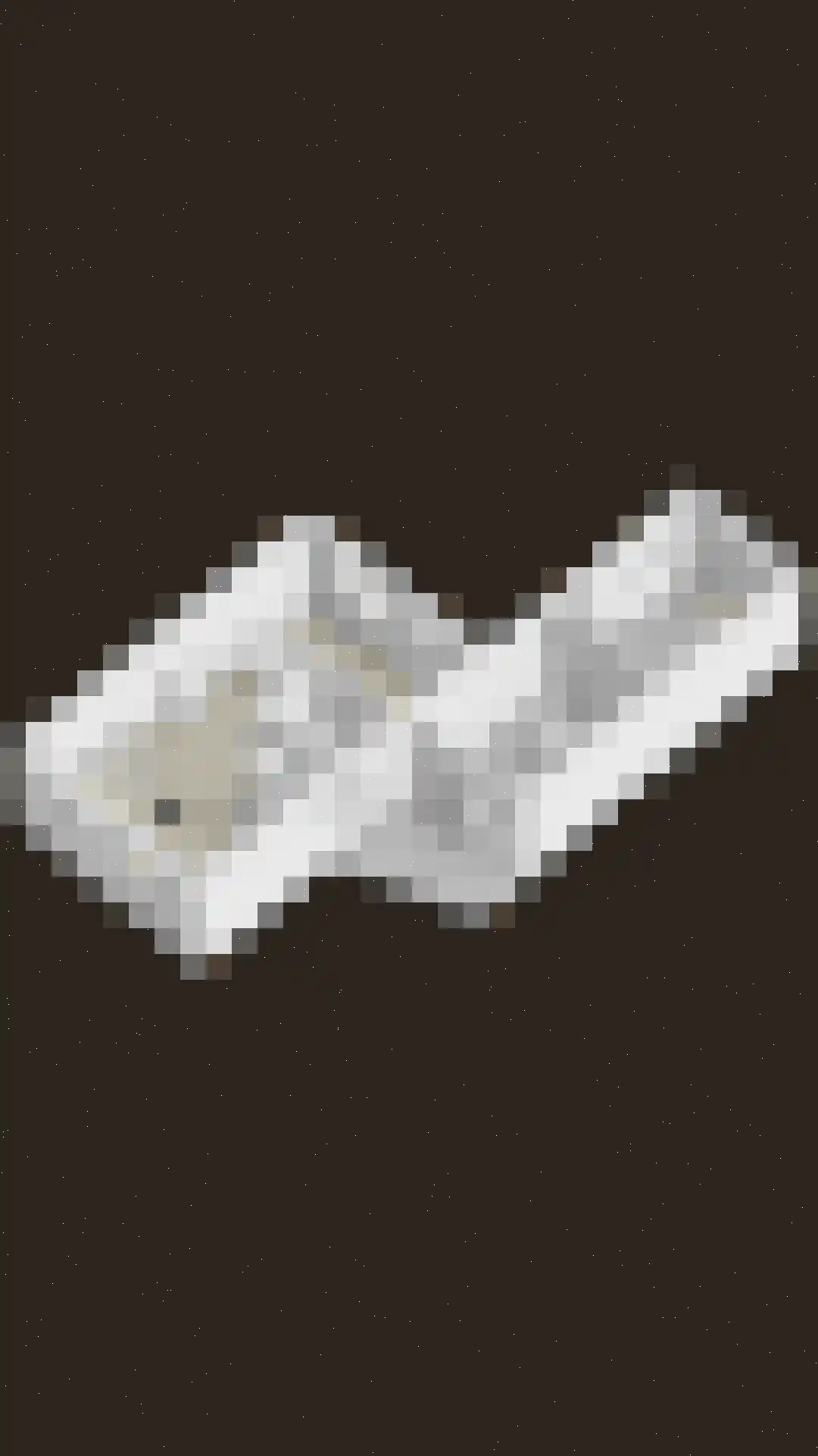 Goudreinet 17 Dodewaard thumbnail 52