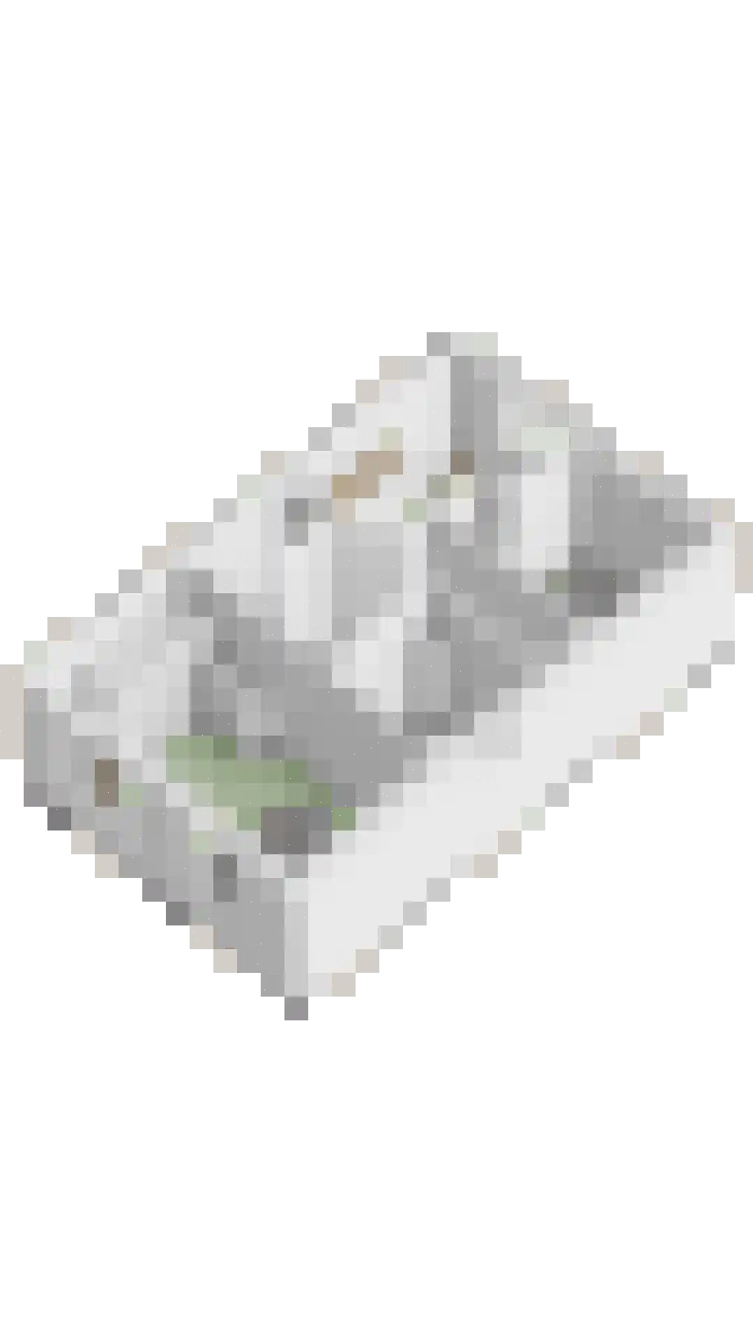 Goudreinet 17 Dodewaard thumbnail 54