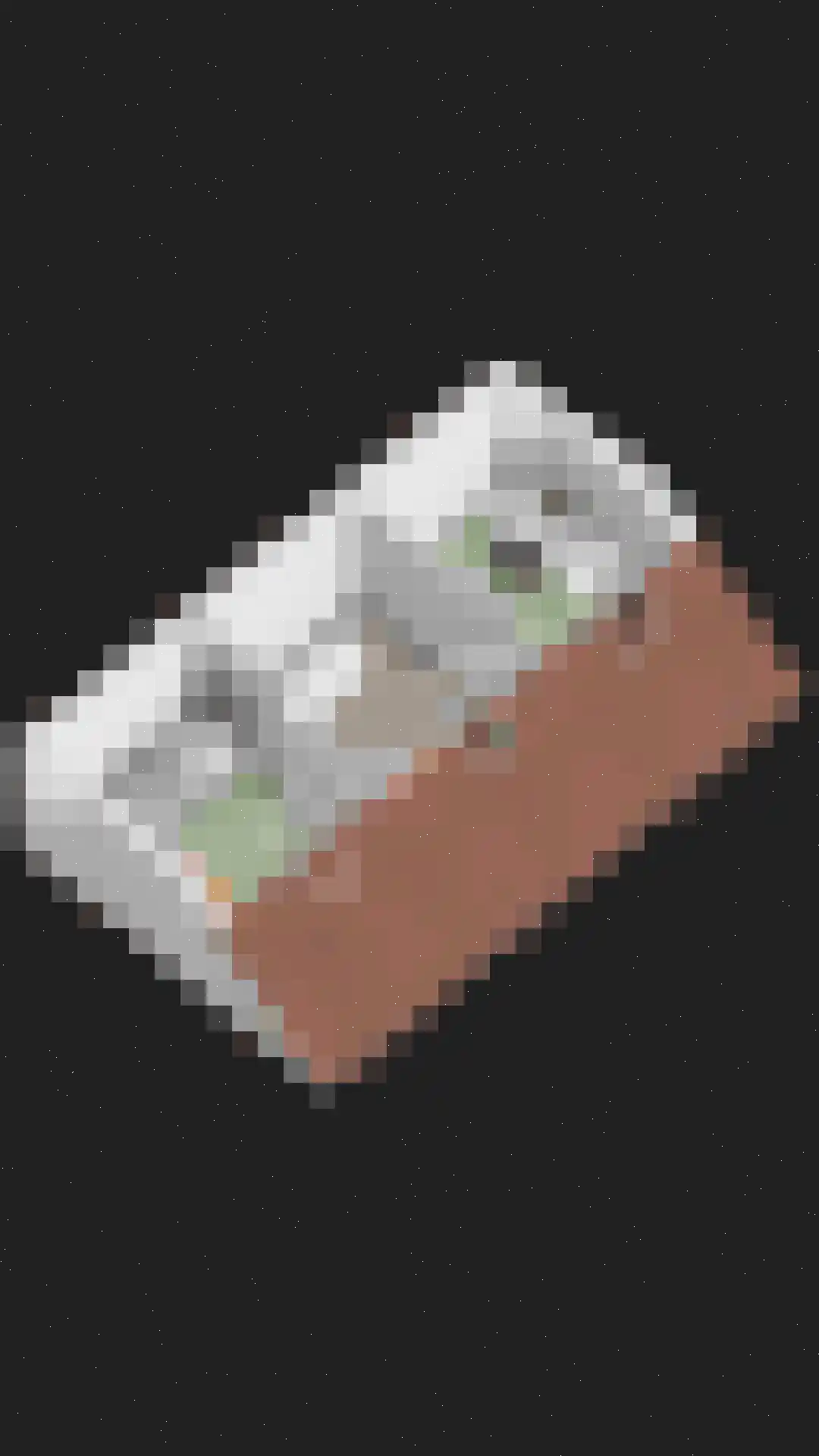 Goudreinet 17 Dodewaard thumbnail 56