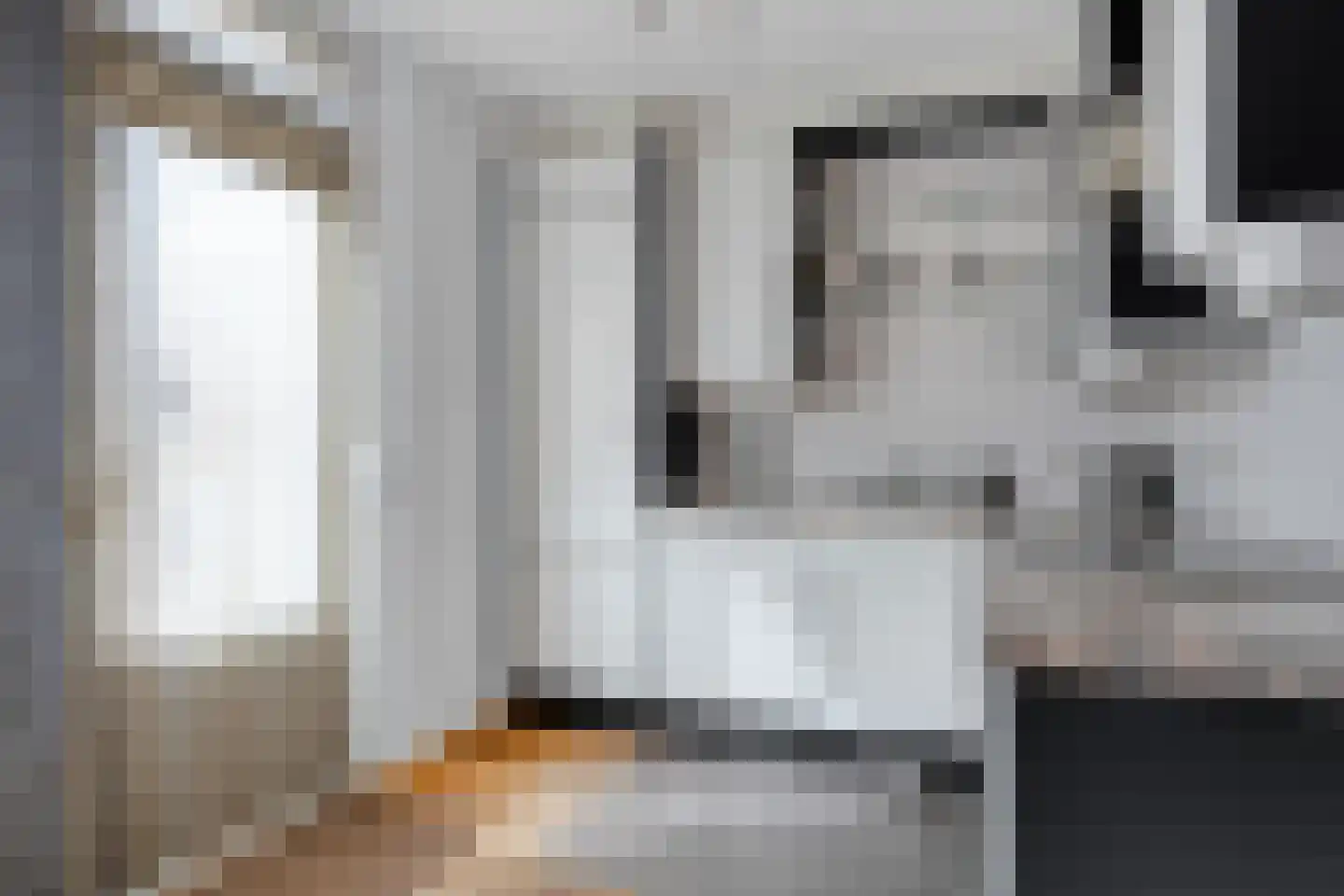 Goudreinet 17 Dodewaard thumbnail 6