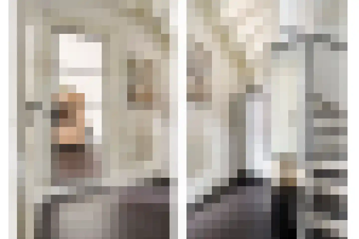 Goudreinet 20 Fijnaart thumbnail 10