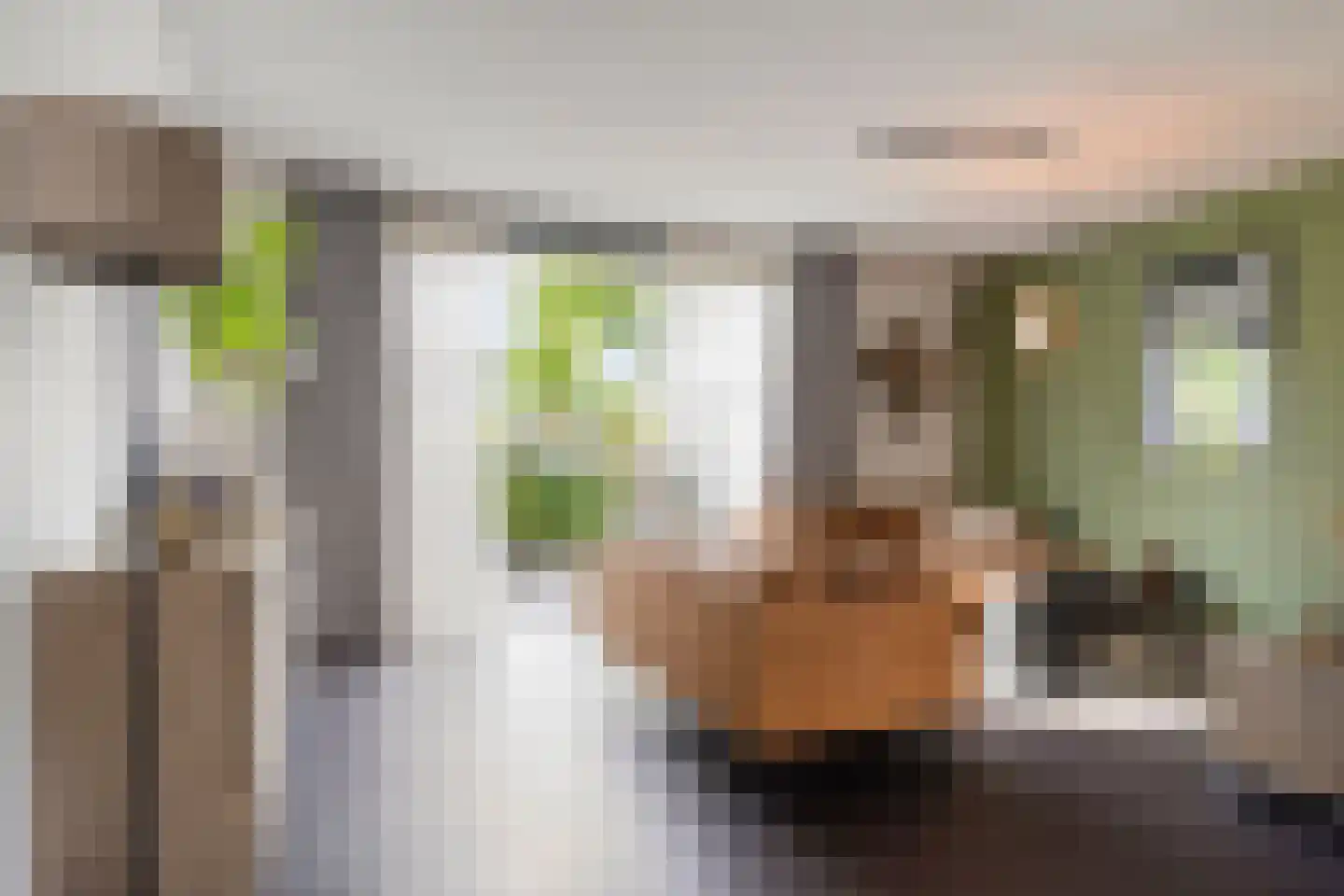 Goudreinet 20 Fijnaart thumbnail 11
