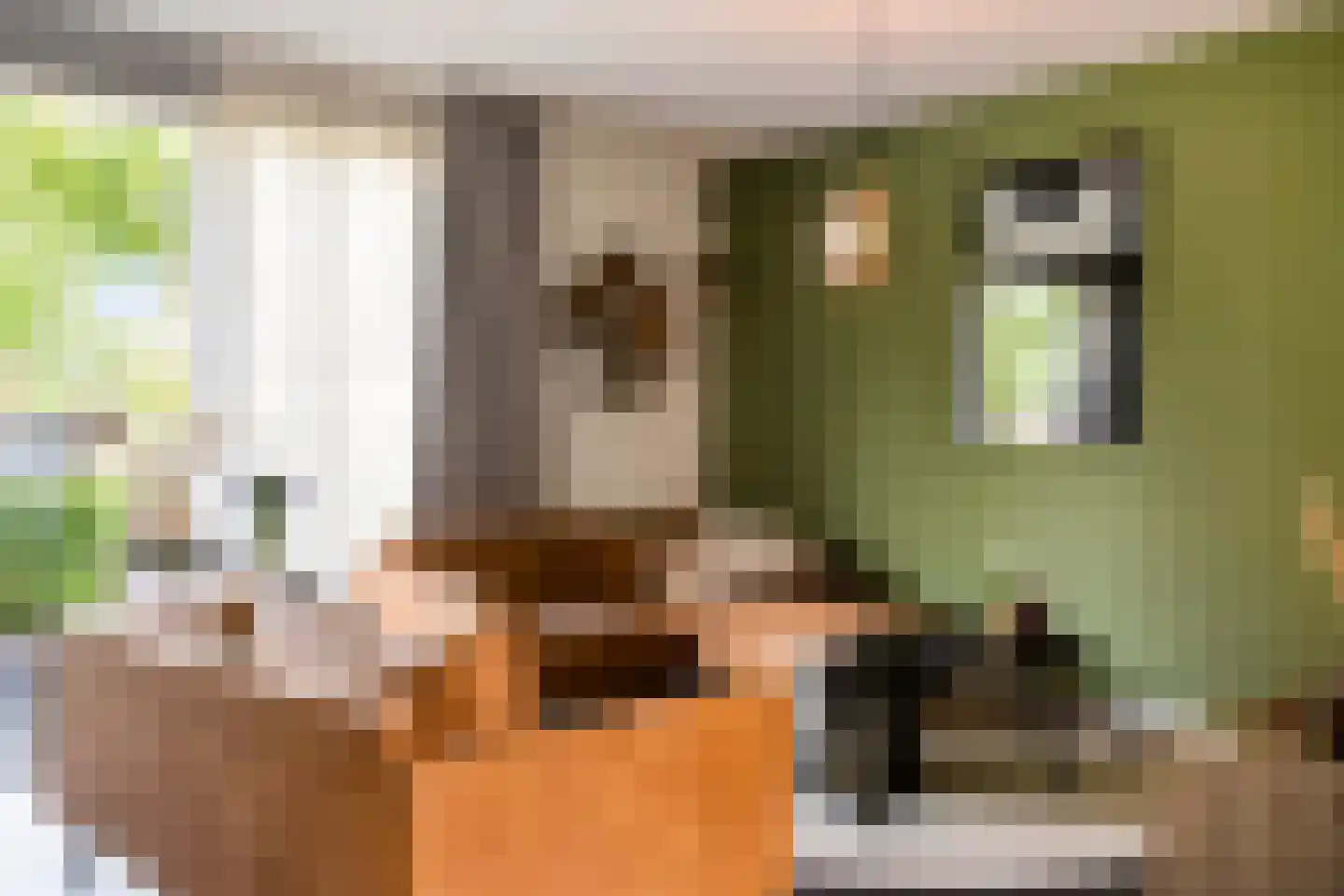 Goudreinet 20 Fijnaart thumbnail 12