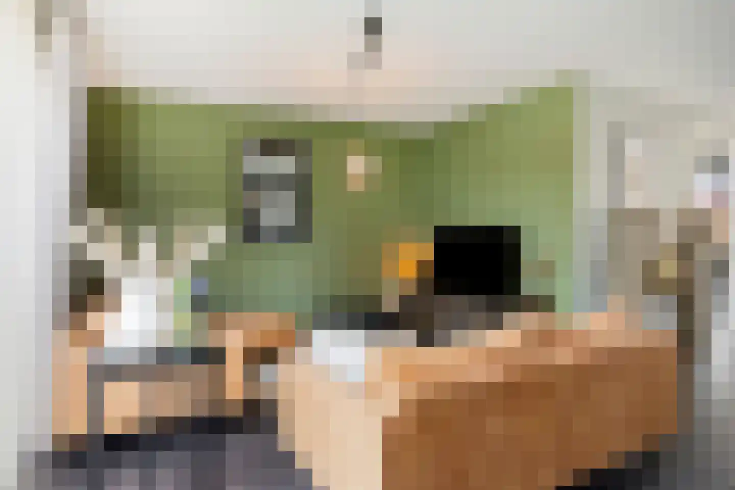 Goudreinet 20 Fijnaart thumbnail 13